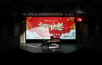 Chinese Embassy in Berlin holds reception for upcoming Chinese New Year