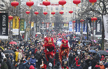 Big parade marks beginning of 2019 Spring Festival in Belgium