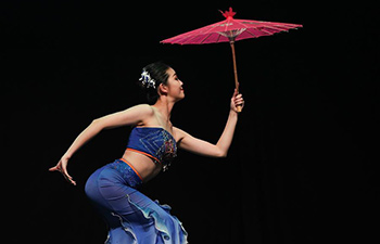 Gala held in Belgium to greet Chinese New Year