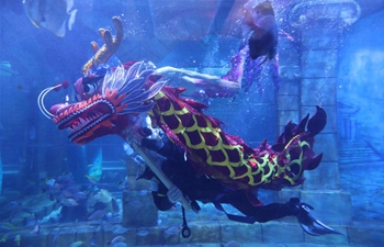 Underwater dragon dance to be performed during Spring Festival holiday in Ningbo, E China
