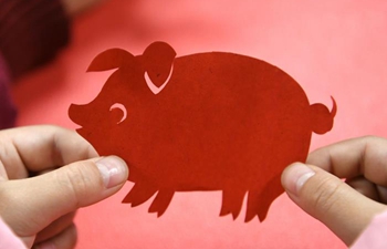 Pig-related elements seen across China to greet Year of Pig