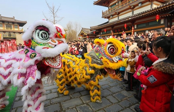 Dragon dance, lion dance performed on 1st day of Chinese New Year