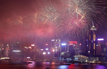 Hong Kong holds fireworks show to celebrate Lunar New Year