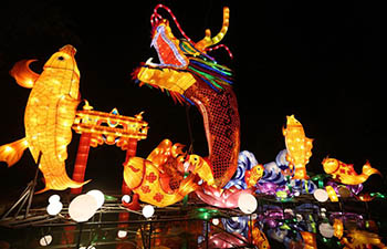 Fancy lanterns displayed across China during Spring Festival holiday