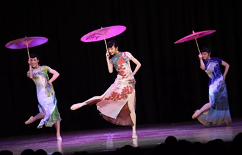 Feature: Chinese crafts, performances bring Lunar New Year vibe to Americans