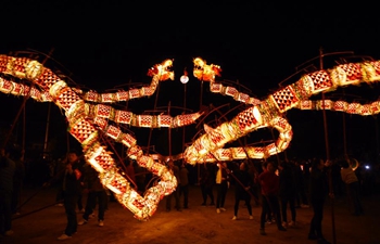 Dragon dance performed to celebrate Chinese Lunar New Year in China's Hunan