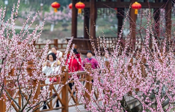 Flowers blossom during Spring Festival holiday across China