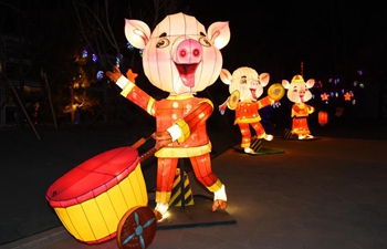 Fancy lanterns displayed across China during Spring Festival