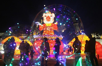 Beautiful lights, lanerns light up Chinese cities during Spring Festival