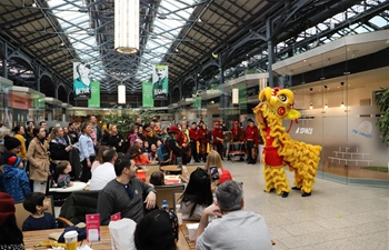 Two-day fair held in downtown Dublin to celebrate Chinese Lunar New Year