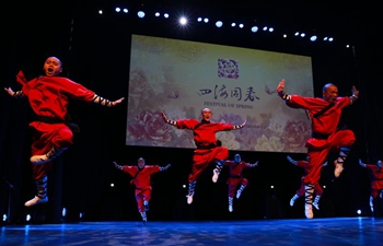 Chinese artists perform in Cape Town to celebrate Spring Festival