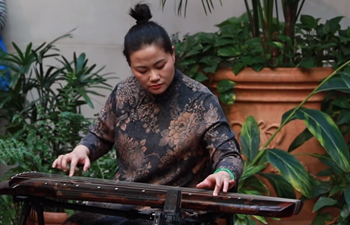 Guqin, Guzheng join Chinese New Year celebration at Met