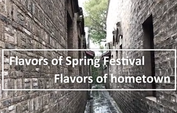 Flavors of Spring Festival, Flavors of hometown