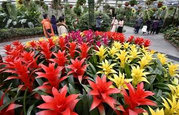 People visit Beijing Garden of World's Flowers on last day of Spring Festival holiday