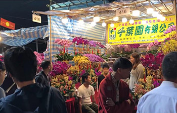 Feeling Chinese Lunar New Year's atmosphere in flower market