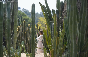 People view succulent plants at Xiamen Botanical Garden