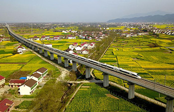 Bullet trains run through cole flower fields in China