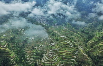 Aerial view of Tang'an terraced fields in SW China's Guizhou