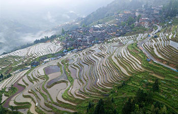 Aerial view of terraced fields in China's Guizhou