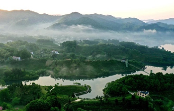 In pics: tea garden in Youfangdian Township of Jinzhai County in China's Anhui