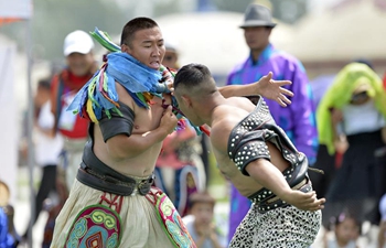 Mongolian wrestling competition held in Hohot, north China