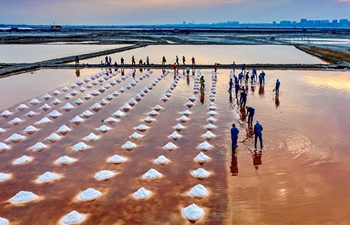 Salt Lake of Yuncheng in Shanxi enters into harvest season