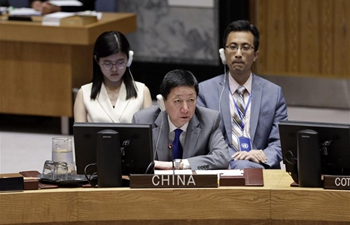 Chinese envoy asks for political solution in Syria