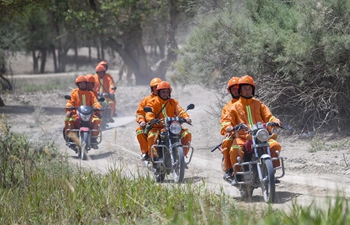 Firefighters inspect desert poplars to prevent forest fire risks in Xinjiang