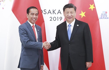 Xi meets Indonesian president on ties