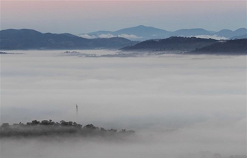 Fog scenery in Canberra, Australia