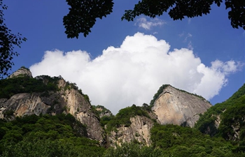 Scenery of Qingfengxia forest park in Shaanxi