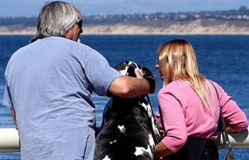 People with dog view seascape in Monterey, U.S.
