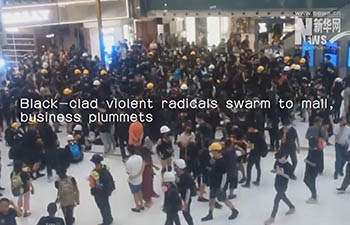Black-clad violent radicals swarm to mall, business plummets