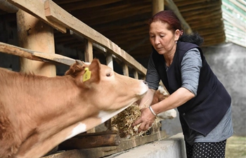Local villagers shake off poverty through plantation, livestock breeding in Xinjiang