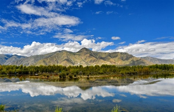 Scenery at Golden Pond Ecological Scenic Spot in China's Tibet