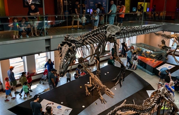 4th annual Dino Fest held in Los Angeles, U.S.