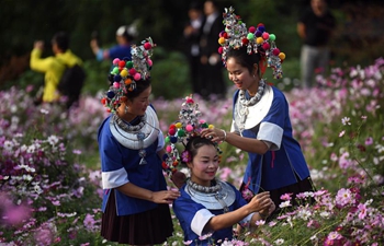 Scenery of galsang flowers in south China's Guangxi