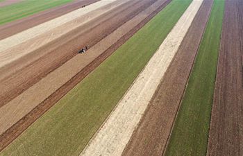 Farmer plant wheat in C China's Henan
