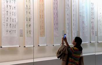 Exhibition themed oracle bone inscriptions kicks off in China's Henan