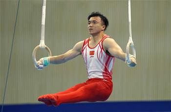 7th CISM Military World Games: rings of artistic gymnastics