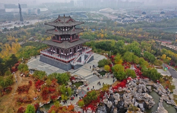 Autumn scenery of Nanhu Park in north China's Hebei Province