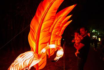 People view light installations during Moonlight Forest Magical Lantern Art Festival