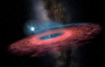 China Focus: Chinese astronomers discover unexpected huge stellar black hole