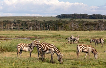 View of Lake Nakuru National Park, Kenya