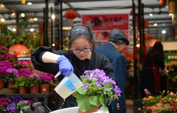 Flowers, green plants become popular as Spring Festival draws near