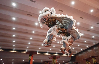 Highlights of 13th International Lion Dance Competition in Singapore's Chinatown