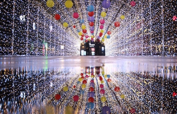 Lantern fair greeting upcoming Spring Festival held in Weifang City