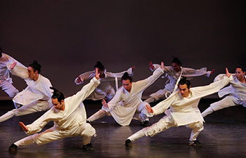 Chinese Kung Fu performed in Tel Aviv