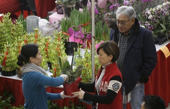 Chinese New Year Flower and Gift Fair draws crowds in Richmond, Canada