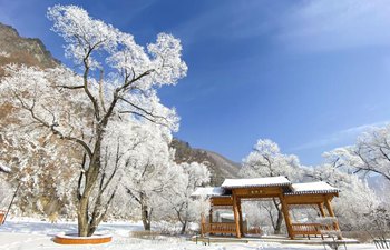 Winter scenery of Jilin
